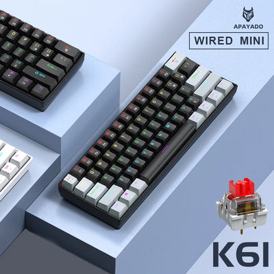 APAYADO K61 Mechanical Keyboard Wired, 61 Keys RGB 60% Portable Mini Keyboard Black,White, Red/Blue Switch for Gaming