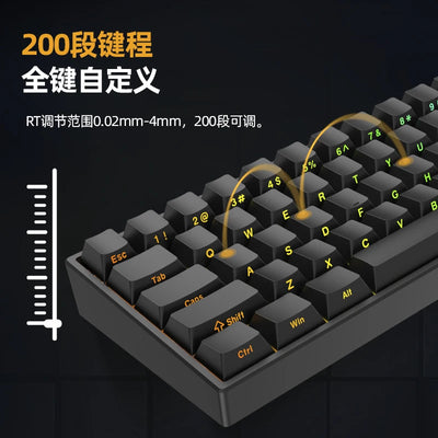 IROK ND63Pro Mechanical Keyboard Magnetic Switch RGB HotSwap Gasket 8000hZ 0.02mm RT Custom 65% FPS Type-C Wired Gaming Keyboard