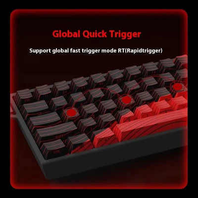 FGG Original MADLIONS Mad 60/68 HE E-sport Magnetic Switch Keyboard 0.02 RT 8K HZ Wired RGB Hot Swap 0.125ms Latency Customized